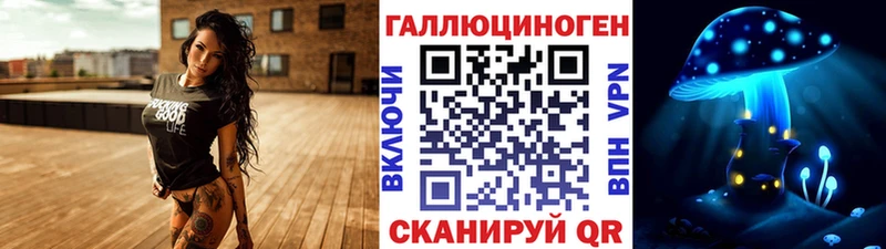 Псилоцибиновые грибы Psilocybe Баксан